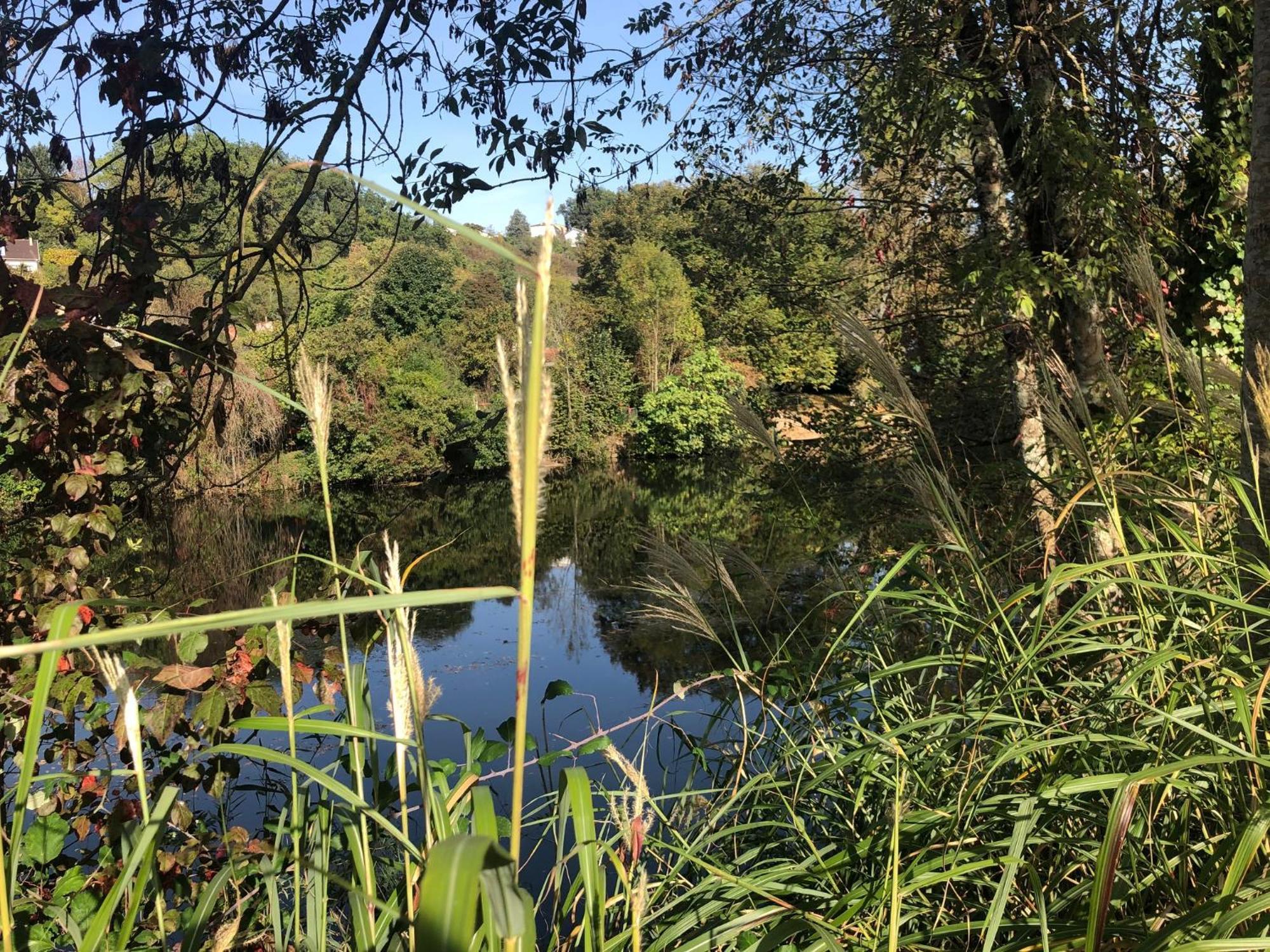 Demeure De Charme Vue Riviere Perigueux Piscine Parking Bed and Breakfast Exterior foto
